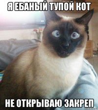 я ебаный тупой кот не открываю закреп