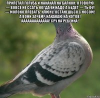 прилетал голубь и накакал на балкон. я говорю — вовсе не ссать когда ей надо а будет — тьфу! — молоко плевать. клюну, останешься с носом! а вони зачем? накакаю на котов! ааааааааааааа! сру на ребенка! 
