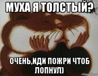муха я толстый? очень,иди пожри чтоб лопнул)