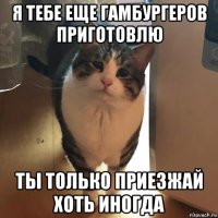 я тебе еще гамбургеров приготовлю ты только приезжай хоть иногда