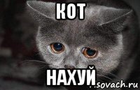 кот нахуй