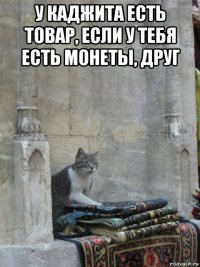 у каджита есть товар, если у тебя есть монеты, друг 