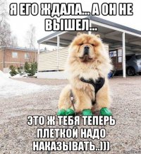 я его ждала... а он не вышел... это ж тебя теперь плеткой надо наказывать..)))