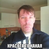  красота то какая