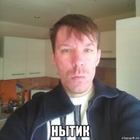  нытик