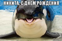 никита, с днём рождения 