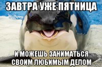 завтра уже пятница и можешь заниматься своим любимым делом