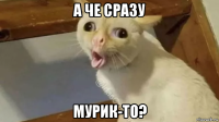 а че сразу мурик-то?