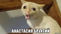  анастасия брухтий