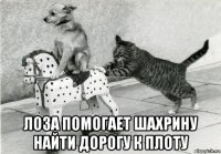  лоза помогает шахрину найти дорогу к плоту