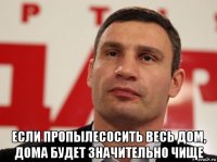  если пропылесосить весь дом, дома будет значительно чище