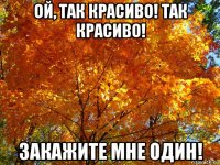 ой, так красиво! так красиво! закажите мне один!