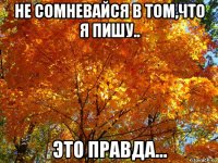 не сомневайся в том,что я пишу.. это правда...
