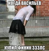 когда васильев купил финик 333лс