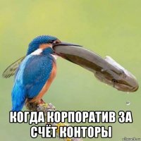  когда корпоратив за счёт конторы