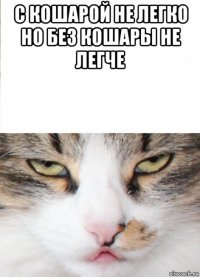 с кошарой не легко но без кошары не легче 
