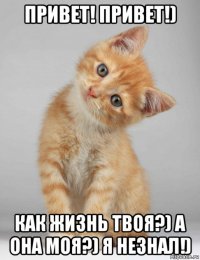 привет! привет!) как жизнь твоя?) а она моя?) я незнал!)