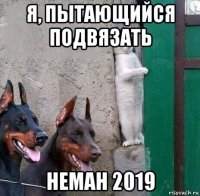 я, пытающийся подвязать неман 2019