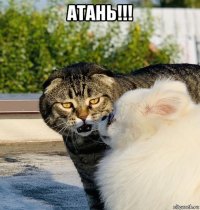 атань!!! 