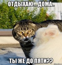 отдыхаю... дома.. ты же до пяти??