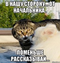в нашу сторону... от начальника.. поменьше рассказывай...