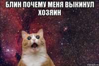 блин почему меня выкинул хозяин 