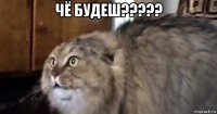 чё будеш????? 