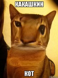 какашкин кот