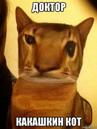 доктор какашкин кот