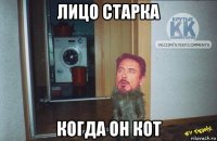 лицо старка когда он кот