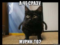 а че сразу мурик-то?