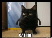  catriot