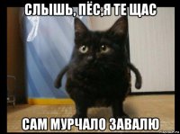 слышь, пёс,я те щас сам мурчало завалю