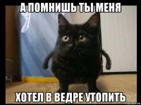 а помнишь ты меня хотел в ведре утопить
