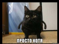  просто котя