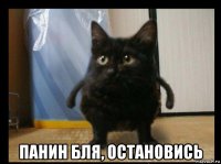  панин бля, остановись