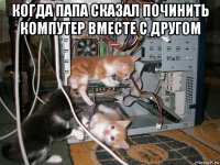 когда папа сказал починить компутер вместе с другом 