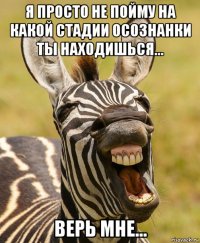 я просто не пойму на какой стадии осознанки ты находишься... верь мне...