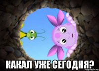  какал уже сегодня?