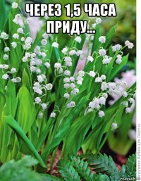 через 1,5 часа приду... 