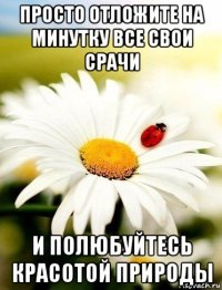 просто отложите на минутку все свои срачи и полюбуйтесь красотой природы