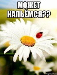 может напьёмся?? 