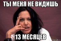 ты меня не видишь 13 месяцев