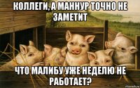 коллеги, а маннур точно не заметит что малибу уже неделю не работает?