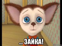  ... зайка!