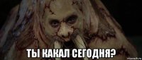  ты какал сегодня?