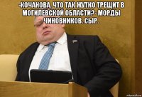 -кочанова. что так жутко трещит в могилевской области?- морды чиновников. сыр. 