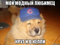 мой модный любимец крут и в кеппи