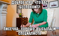 доброе утро. что вас беспокоит? писечка... хорошо, высылаем специалиста