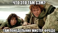 что это там сэм? там понедельник мистер фродо